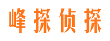 普格市侦探公司